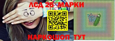 СК Камышлов
