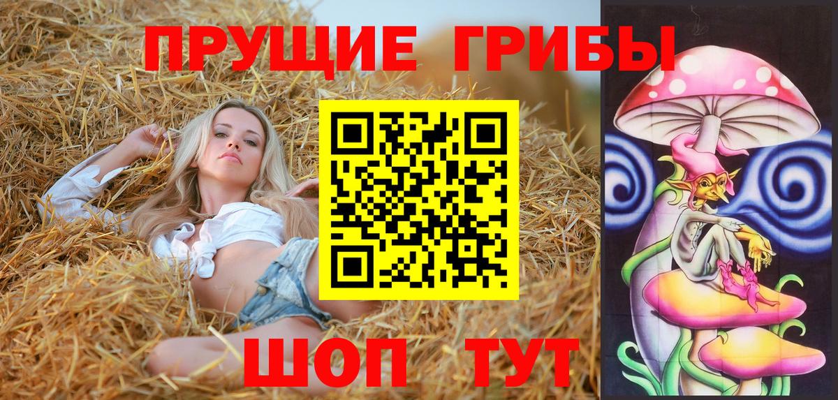 Псилоцибиновые грибы GOLDEN TEACHER  Вход с VPN  Галлюциногенные грибы прущие грибы  Конаково 